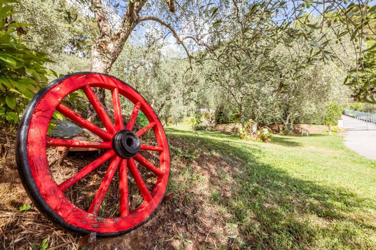 Гостевой дом Al Giardino Degli Ulivi Santa Maria Albiano Экстерьер фото