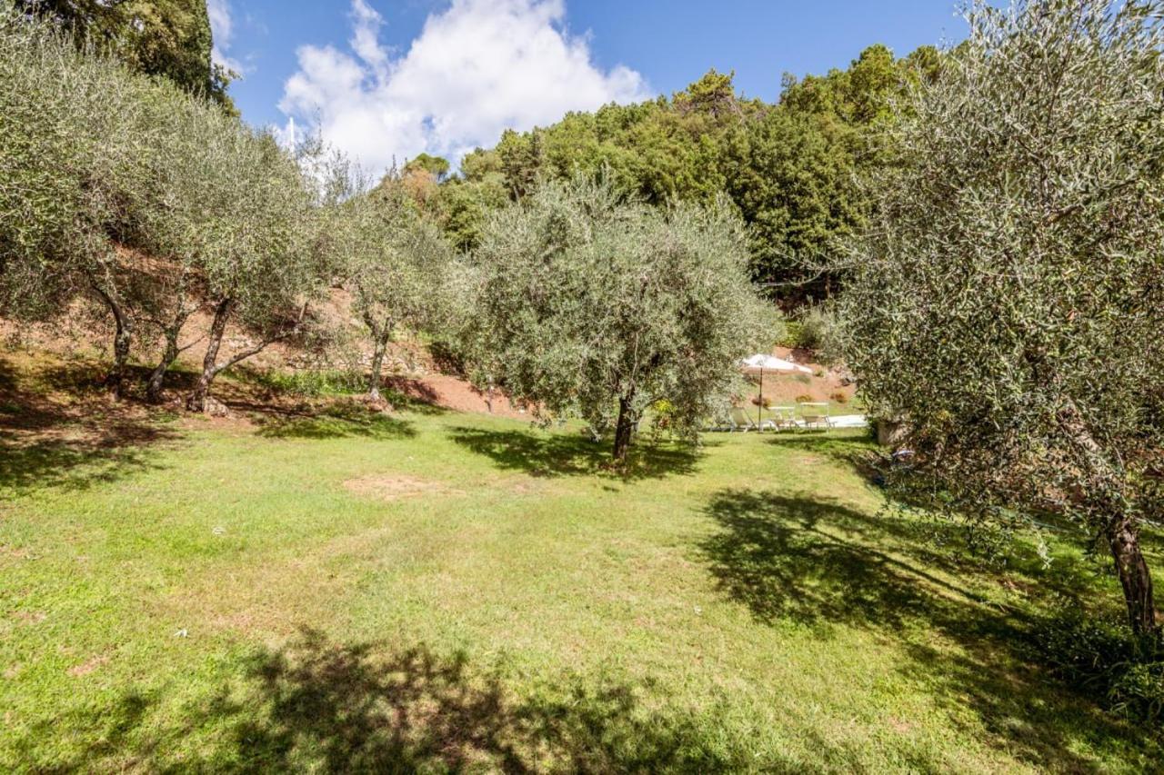 Гостевой дом Al Giardino Degli Ulivi Santa Maria Albiano Экстерьер фото