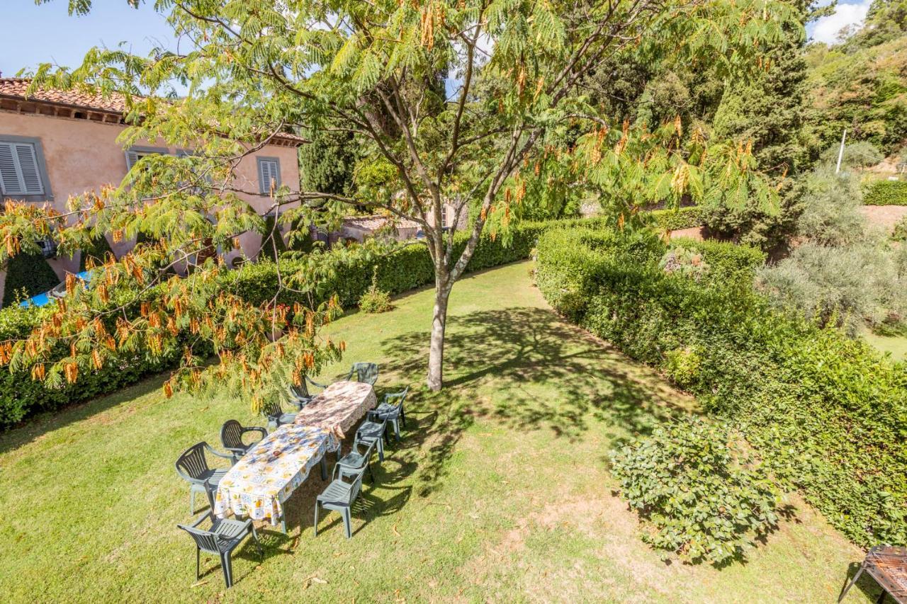 Гостевой дом Al Giardino Degli Ulivi Santa Maria Albiano Экстерьер фото
